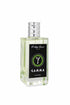 Gamma Eau de Parfum for Men by Phillippe Renoir