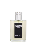 Puissant Eau de Parfum for Men by Phillippe Renoir - perfumes4u.com